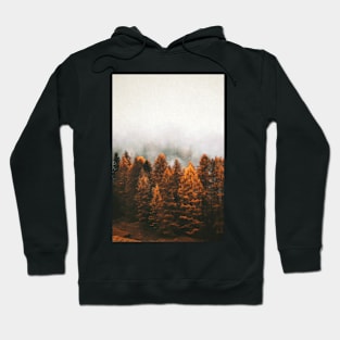 Autumn Forest Hoodie